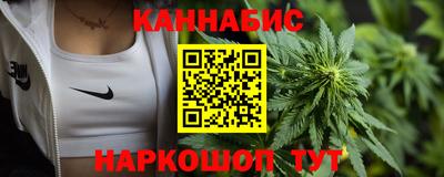 дмт Дубна